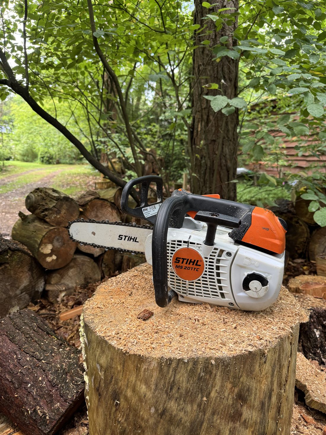 Kettingzaag bij zaagwerk in het bos